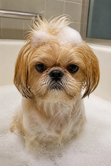 Bath